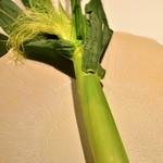 フロリレージュ - ●２０１３．０５．１７【訪問３回目】