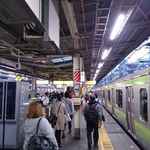 早稲田大学の最寄り駅としても知られる駅である事から、乗降車数も結構多く感じます。