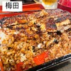 Unagi To Tori Noguchi - 