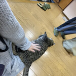 はまあかり潮音閣 - お別れタイム(´TωT｀)もう人懐っこさに疲れも飛びます٩(*´◒`*)۶