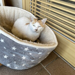 はまあかり潮音閣 - まさかのよその子！(笑)