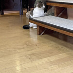 はまあかり潮音閣 - うるたん君かな？