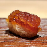 Kimura - 遠野四号赤酢のシャリに神の熟成筋子