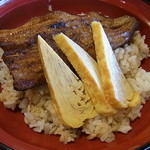 Nagakura - 鰻丼