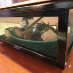 和楽 - ＜5月＞“楽しみ”（オープン前）