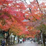 里山きさら - 谷汲山