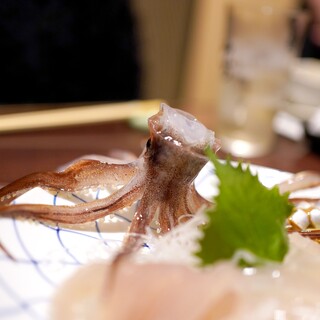 活魚料理 いか清_1