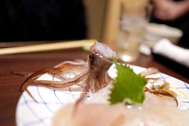 Katsugyo Ryori Ikasei photo 2