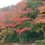 江戸三 - 紅葉♪来年も見たい