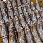 富小路 やま岸 - 