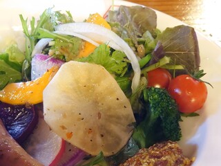 Sonikougen Famu Gaden - このサラダの感じだと、野菜のランチも期待できるかも。