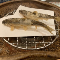 天ぷら 銀座おのでら 並木通り店 - 