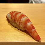 鮨 はしもと - 車海老
      この位のサイズが割と好きです♪