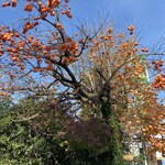 中華一番 - 