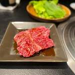 京松蘭 - サガリ