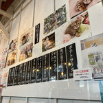 猫丸食堂 - ★座った席から