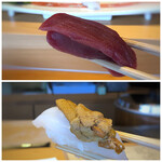 Tempura Sushi Hakata Shunshou - ＊鮪は厚めに切られているので、旨味を感じます。 ＊烏賊は甘く、雲丹と共に頂くと美味しい。