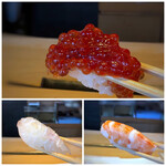 Tempura Sushi Hakata Shunshou - ＊握りで「筋子」を出されるのは珍しい。食感・味わい共にいい品。 ＊鯛は噛むと甘味を感じます。 ＊海老も甘いですね。