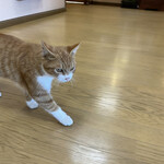 はまあかり潮音閣 - クール