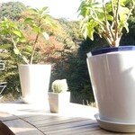 大磯 山のCafe 倭孝 - 