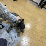 はまあかり潮音閣 - にゃにゃ君は甘えん坊(*’ー’)