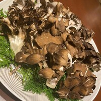 スガラボヴィー - 