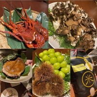 スガラボヴィー - 