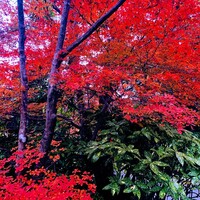 THE SODOH HIGASHIYAMA KYOTO - 