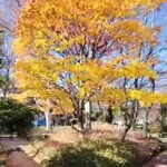 定義とうふ店 - 