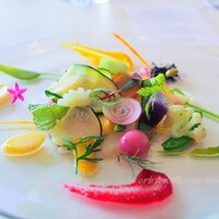 La Bastide sur la mer - 鎌倉野菜のガルグイユ