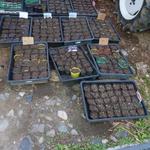 昇月 - 出来る限り自給