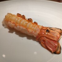 蒼 - さかな人長谷川さんより長井の赤座海老