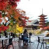 天心閣 - 美しき景観、厳島神社と紅葉、五重塔&千畳閣
ゆっくりとした時間を楽しむにはこちらがイチバン！
某人気店よりも断然こちらの方が素晴らしい