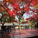 天心閣 - 小高い丘の上に建てられた立派な門構えを持つお屋敷、日本庭園に設けられたデッキテラスには所々に紅葉が立っており、降り積もった紅葉が真っ赤な絨毯の様になっており、美しい