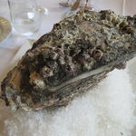 ウシマル - 作田産の岩牡蠣(全長18.5cm×高さ11cm！)2