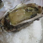 作田産の岩牡蠣(全長18.5cm×高さ11cm！)3