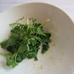 ウシマル - 野生のクレソン