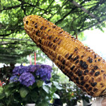 高原やきとうもろこし - 