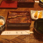 Unagi shige - 