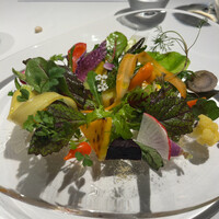 レフェルヴェソンス - 