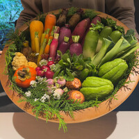 レフェルヴェソンス - 