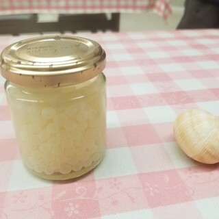 エスカルゴ牧場_1