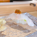 Sushi Takeuchi - 