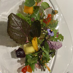 レフェルヴェソンス - 