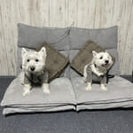 ダイニングキッチン アオヤマ - 