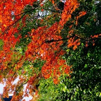 THE SODOH HIGASHIYAMA KYOTO - 