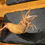 楽食亭 - えびー！