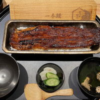 うなぎ四代目菊川 ヒルトンプラザウエスト大阪店 - 名物　一本重