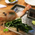 地酒処 えふし - えびが大きくて肉厚です。こちらも山わさびで。