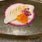 estY - 佐島のアオリ烏賊